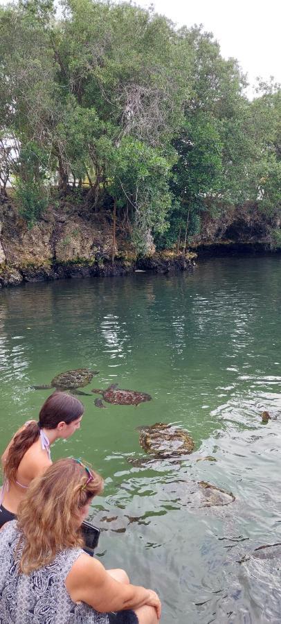Aquarium Beach House Nungwi Luaran gambar